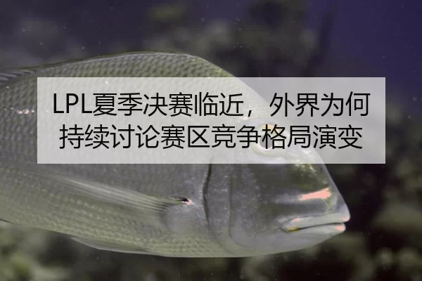 LPL夏季决赛临近，外界为何持续讨论赛区竞争格局演变（leyu）